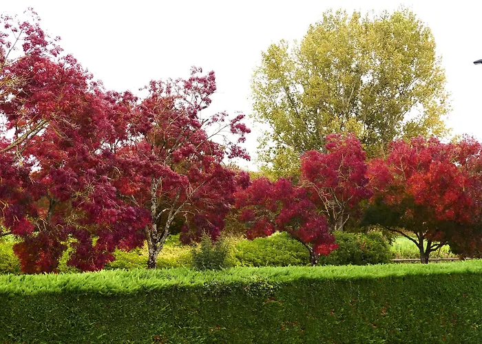 Contact Le Provencal מלון